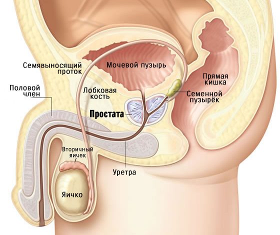Photo of Эффективные методы лечения простатита